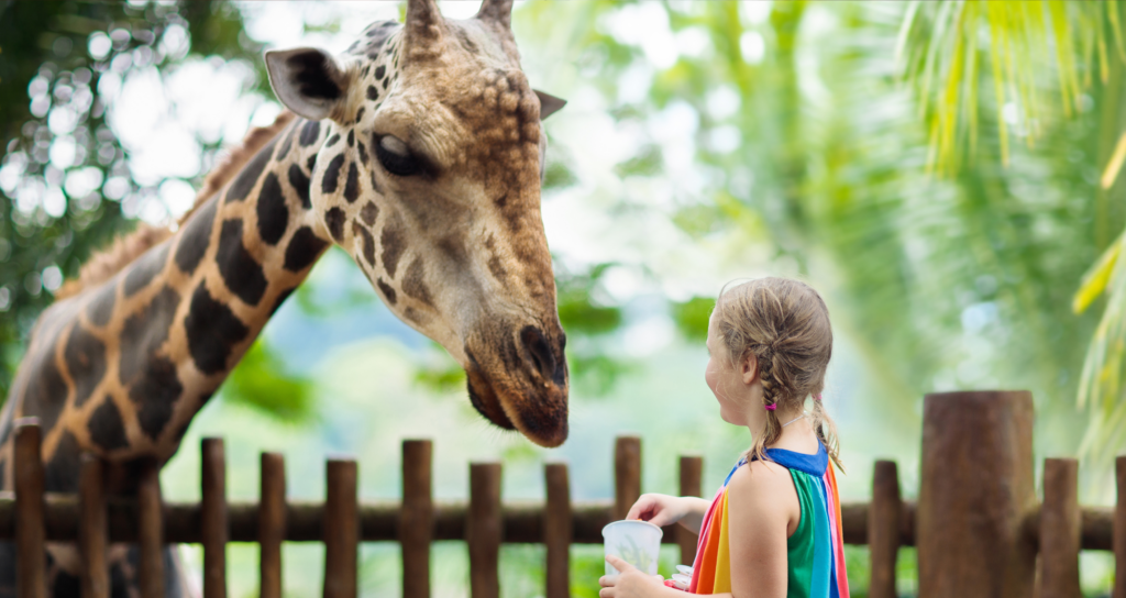 Parcs-animaliers-et-aquariums-2