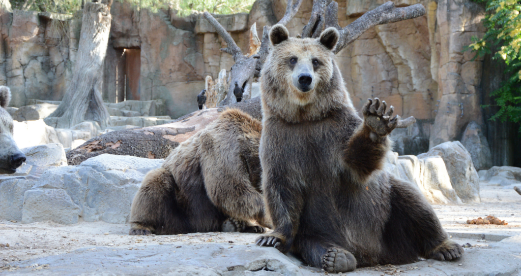 Parcs-animaliers-et-aquariums-3