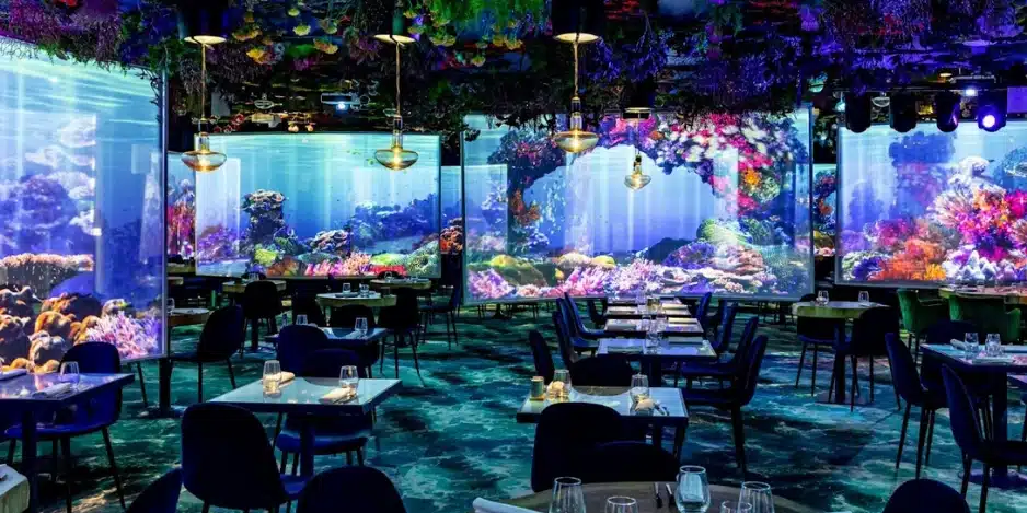 Under-the-Sea