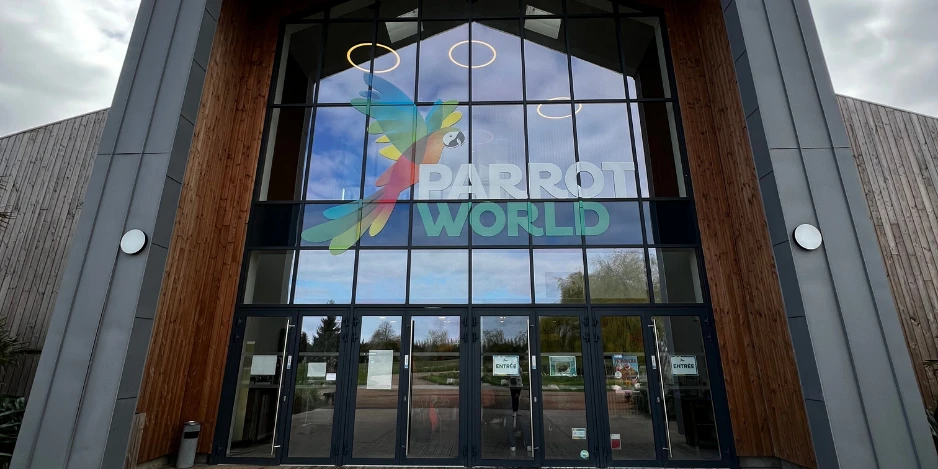 Parrot-World_-Billet-dentree-journee